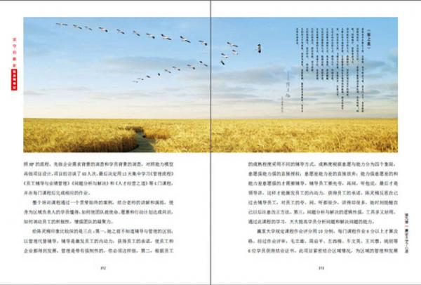 坚守的赢家：陈灵梅传记