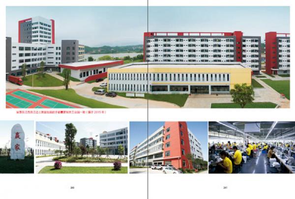 坚守的赢家：陈灵梅传记