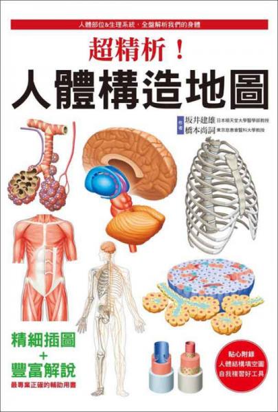 超精析！人體構(gòu)造地圖