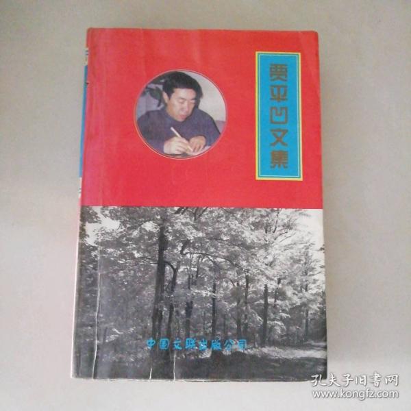 当代中国名案