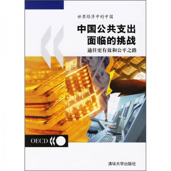 中國(guó)公共支出面臨的挑戰(zhàn)