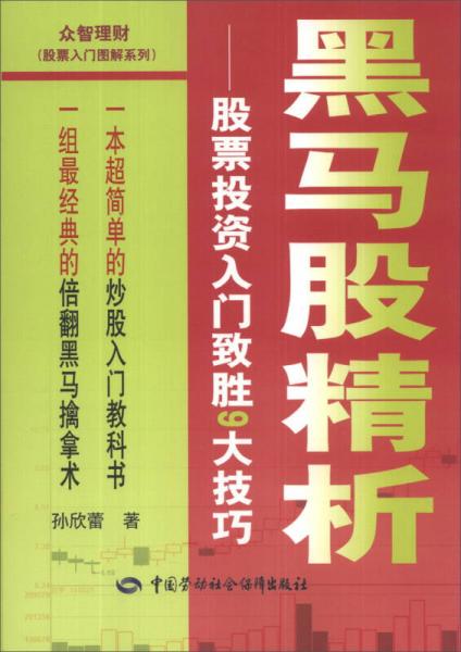 黑马股精析：股票投资入门致胜9大技巧