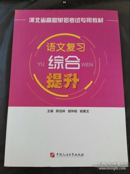 語文復(fù)習(xí)綜合提升 陳佳林 胡仲明 楊勇文主編 中國石油大學(xué)出版社 9787563656622