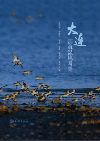 大连滨海湿地鸟类(精)