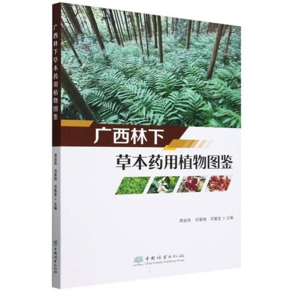 廣西林下草本藥用植物圖鑒