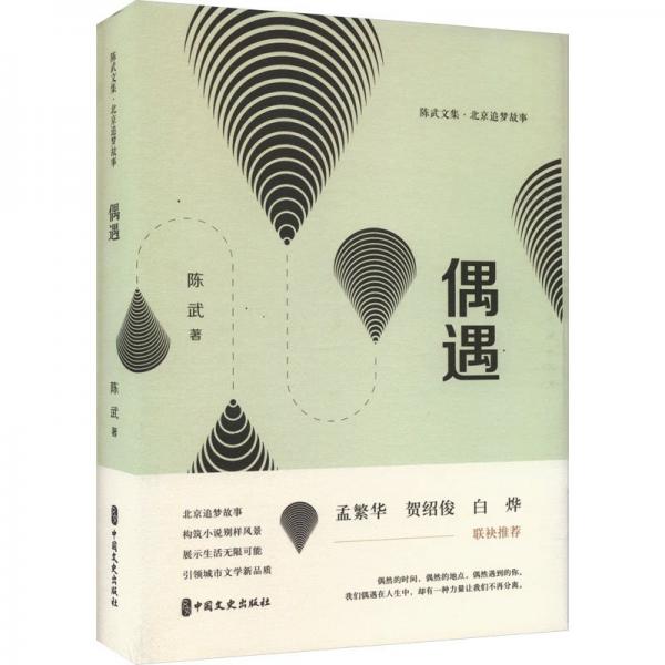 偶遇(北京追夢故事)(精)/陳武文集
