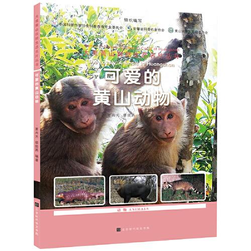 可愛的黃山動物