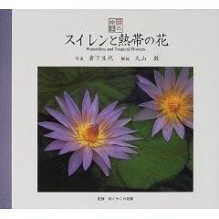 スイレンと熱帯の花