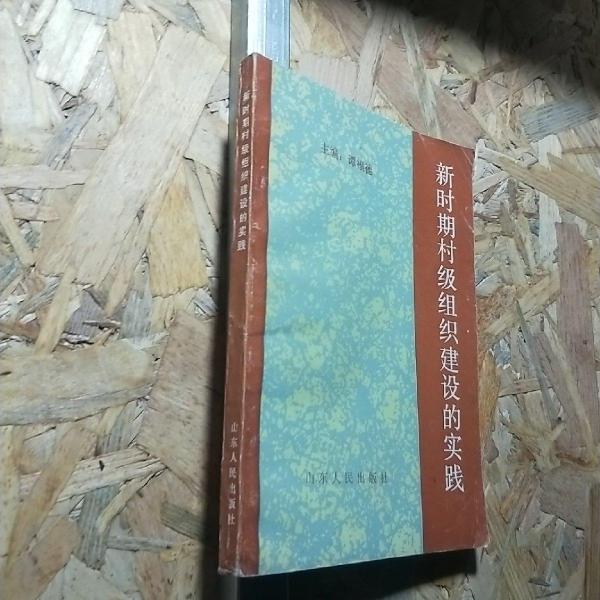 新時期村級組織建設(shè)的實踐