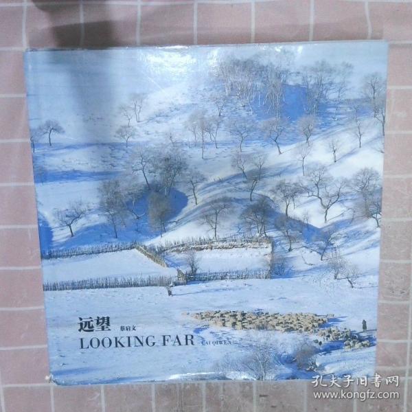 遠(yuǎn)望:[中英文本]