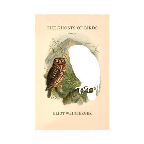 The Ghosts of Birds