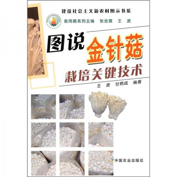 圖說金針菇栽培關(guān)鍵技術(shù)