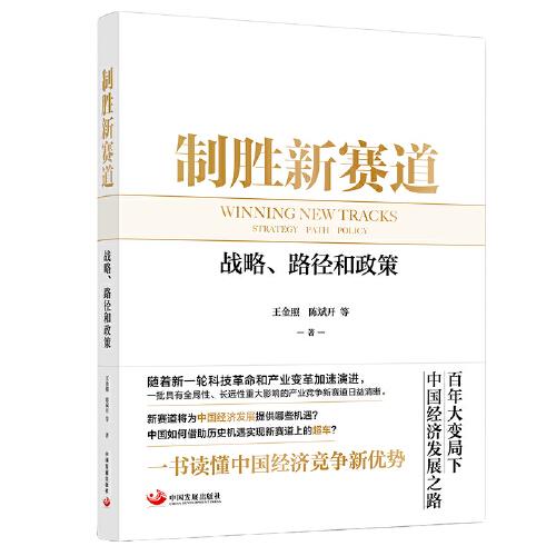 制胜新赛道：战略、路径和政策