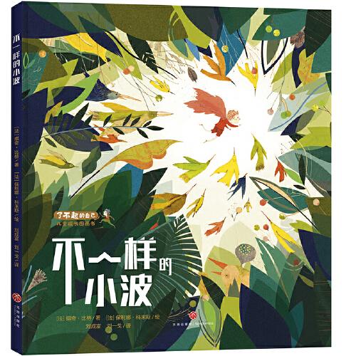 不一樣的小波