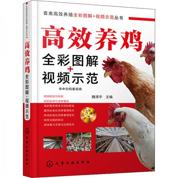 畜禽高效養(yǎng)殖全彩圖解+視頻示范叢書--高效養(yǎng)雞全彩圖解+視頻示范