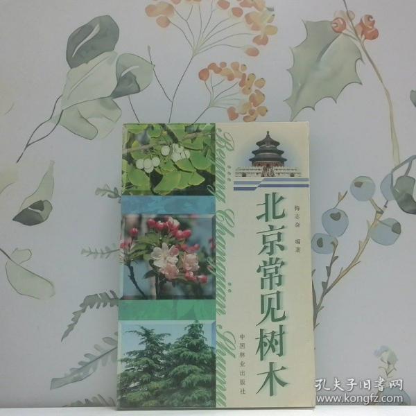 北京常見(jiàn)樹(shù)木