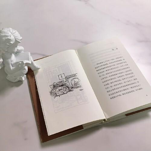 再会，奇普斯先生