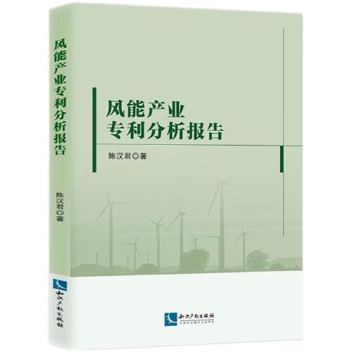 風(fēng)能產(chǎn)業(yè)專利分析報(bào)告