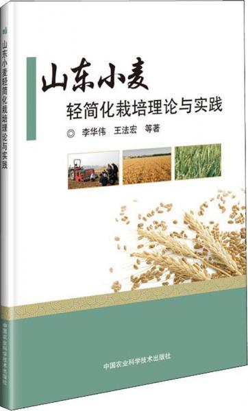 山东小麦轻简化栽培理论与实践 