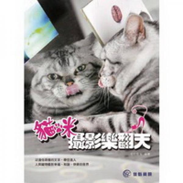 貓咪攝影樂翻天