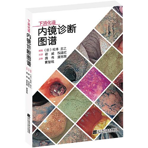 下消化道內(nèi)鏡診斷圖譜