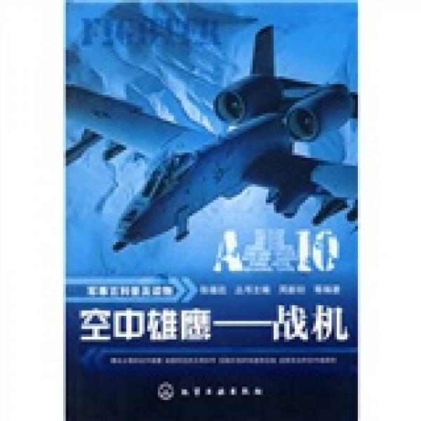 空中雄鷹：戰(zhàn)機
