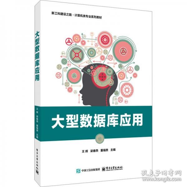 大型數(shù)據(jù)庫(kù)應(yīng)用