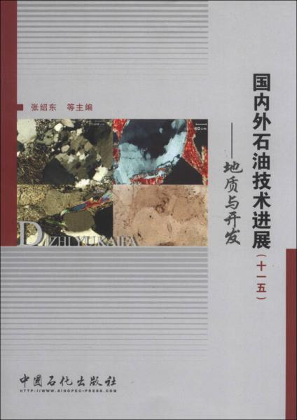 國(guó)內(nèi)外石油技術(shù)進(jìn)展（十一五）：地質(zhì)與開(kāi)發(fā)
