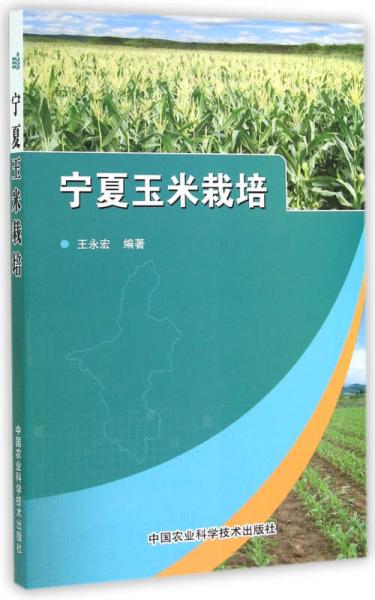 寧夏玉米栽培