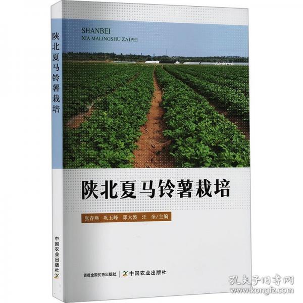 陕北夏马铃薯栽培
