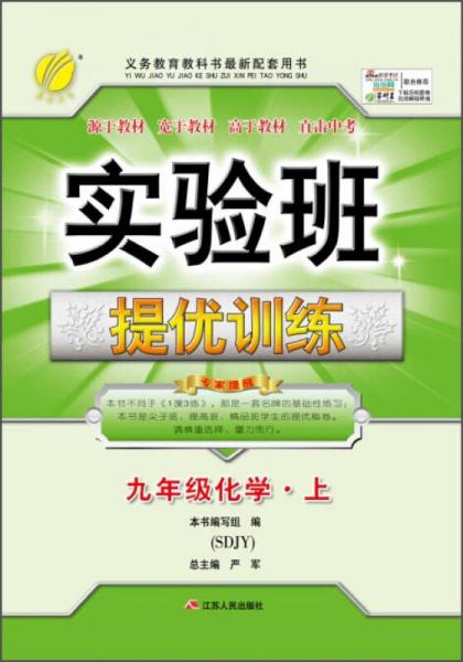 春雨教育·实验班提优训练：九年级化学上（SDJY 2015秋）