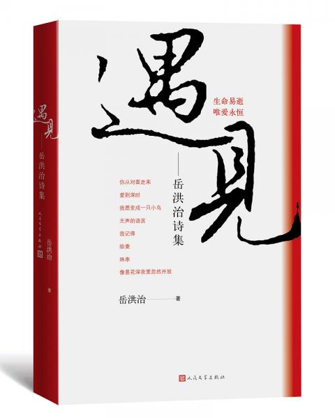 遇見：岳洪治詩集