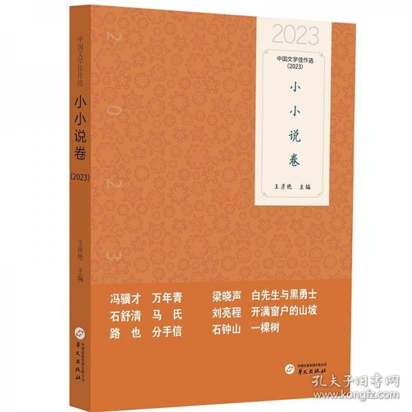 中国文学佳作选 小小说卷
