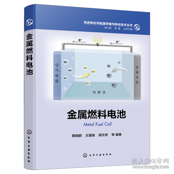 先进电化学能源存储与转化技术丛书--金属燃料电池