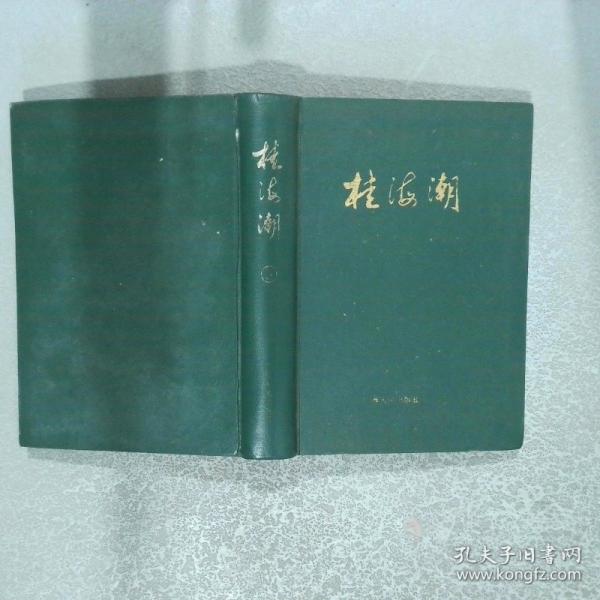 桂海潮 3