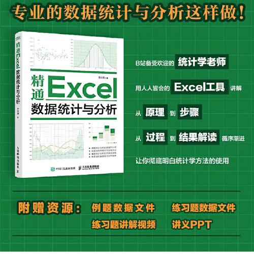 精通Excel数据统计与分析