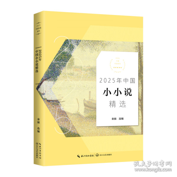 2025年中国小小说精选