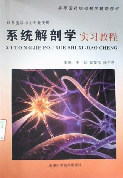 系統(tǒng)解剖學(xué)實(shí)習(xí)教程