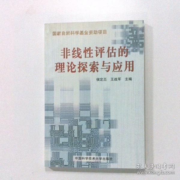 非線性評估的理論探索與應(yīng)用
