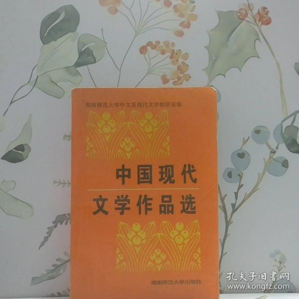 中國(guó)現(xiàn)代文學(xué)作品選