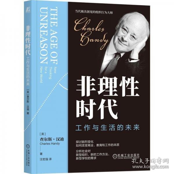 非理性時(shí)代：工作與生活的未來(lái)