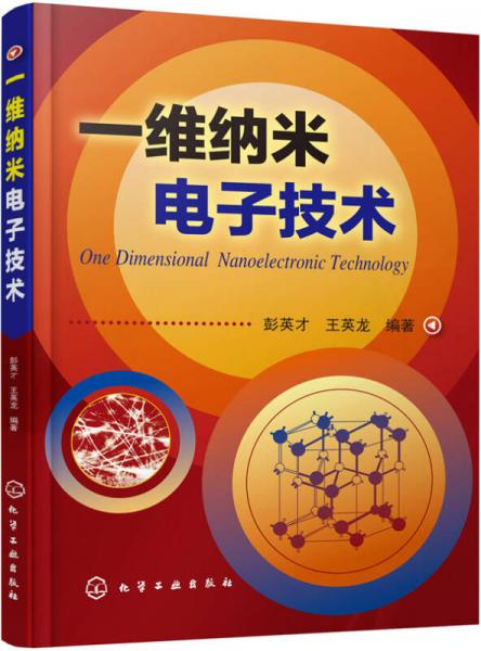 一維納米電子技術(shù)