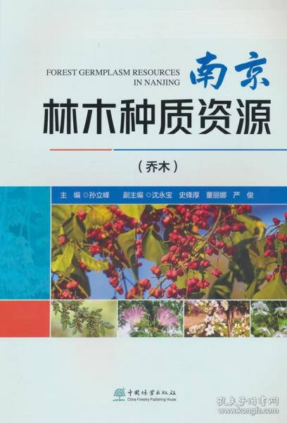 南京林木种质资源 乔木