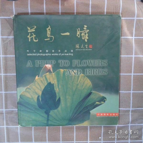 花鸟一瞬:叶学龄摄影作品选