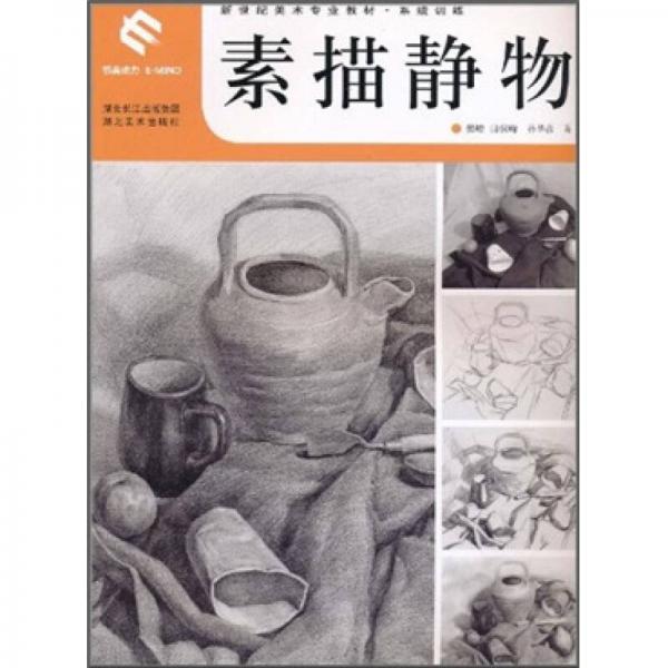 新世紀(jì)美術(shù)專業(yè)教材系統(tǒng)訓(xùn)練：素描靜物
