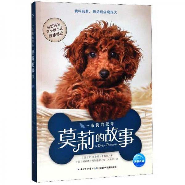 一條狗的使命：莫莉的故事