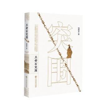 王安石突圍
