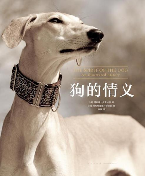 狗的情義