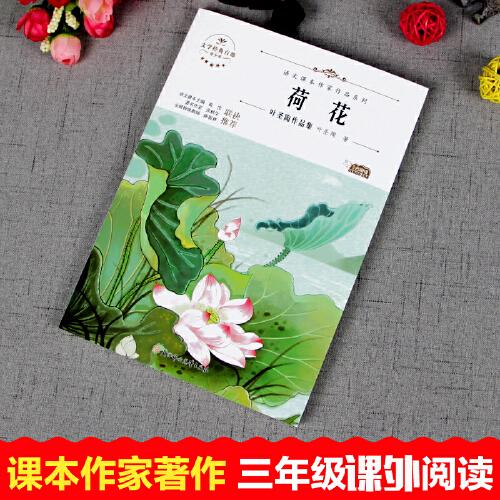 荷花：叶圣陶作品集 中小学生读语文课本作家作品课外阅书文学经典