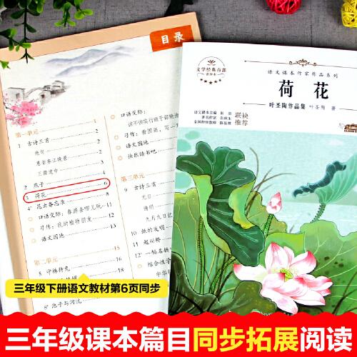 荷花：叶圣陶作品集 中小学生读语文课本作家作品课外阅书文学经典
